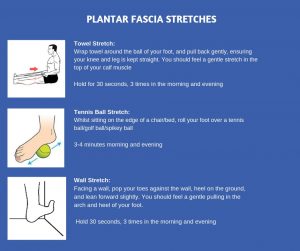Plantar-Fascia-pg1-300x251 Plantar Fascia Pg1