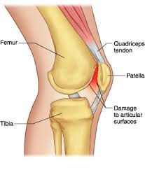 admin-ajax-1-1 PFJ Exercises/ Stretches